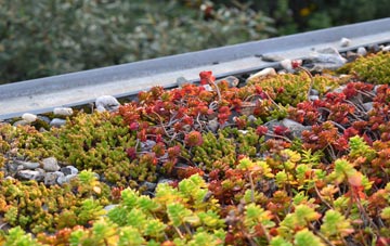 the cost of Firby green roof installation