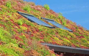 Firby living roof systems